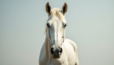 Similar image 22684226