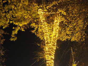 Similar image 22676803