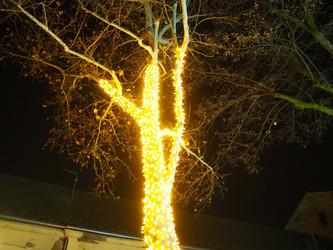 Similar image 22676987