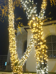 Similar image 22684256