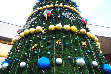 Similar image 22698331