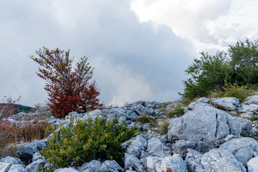Similar image 22648640