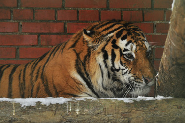 Similar image 22648403
