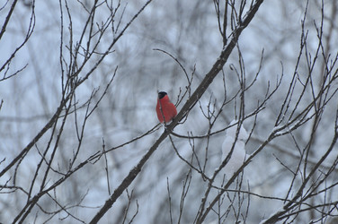 Similar image 22648268