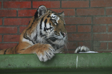 Similar image 22648345