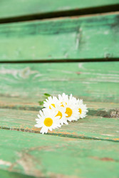Similar image 22763614