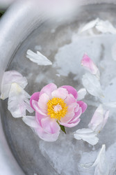 Similar image 22763640