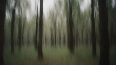 Similar image 22700054