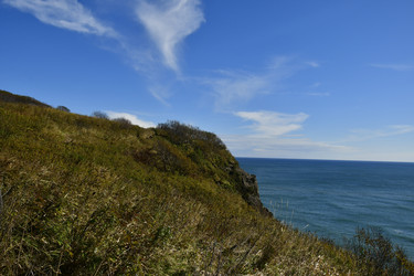 Similar image 22648137