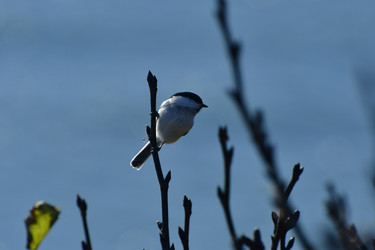 Similar image 22647834