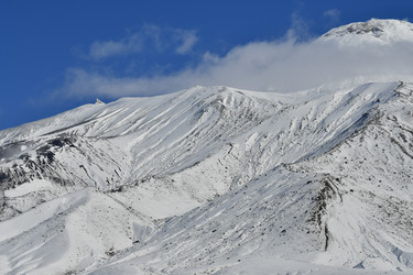 Similar image 22647909