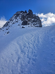 Similar image 22647953