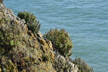 Similar image 22648045