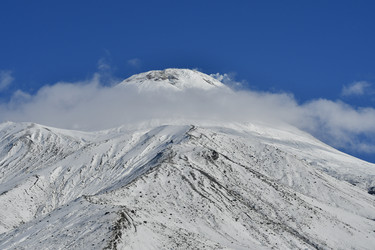 Similar image 22648419
