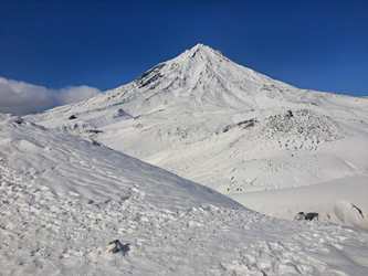 Similar image 22648495