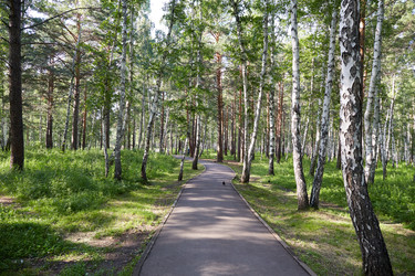 Similar image 22720351