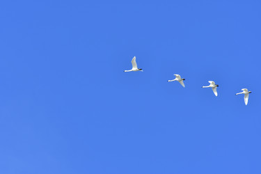 Similar image 22647863