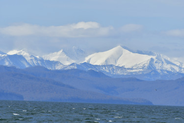 Similar image 22648028