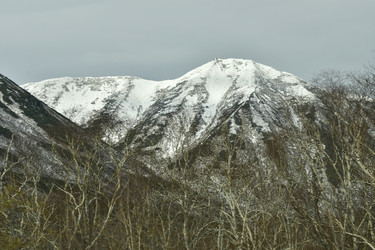 Similar image 22648538