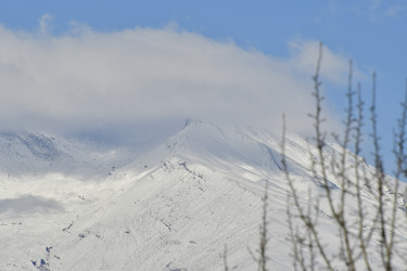 Similar image 22648059