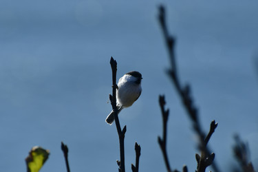 Similar image 22647864