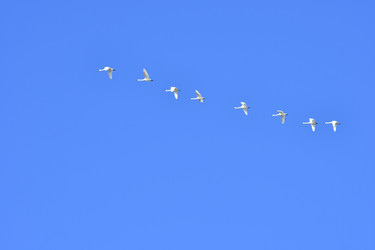 Similar image 22647865