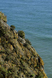 Similar image 22648149
