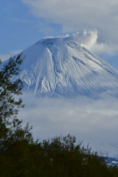 Similar image 22648409
