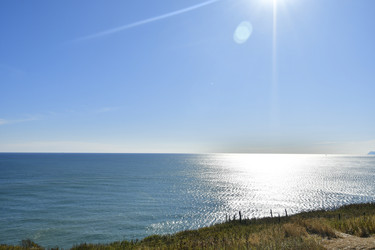 Similar image 22648435