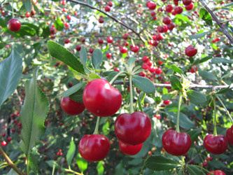 Similar image 22682282