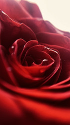 Similar image 22702333