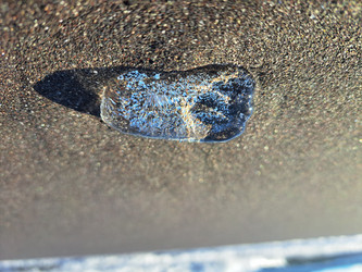 Similar image 22647987