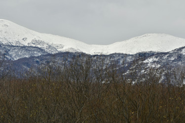 Similar image 22648464