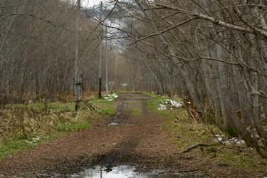 Similar image 22648166