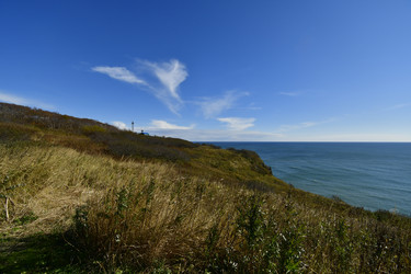 Similar image 22648560
