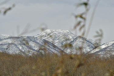 Similar image 22648167
