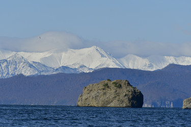 Similar image 22648243