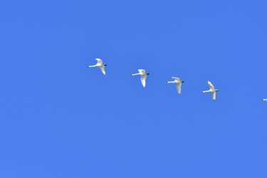 Similar image 22648273