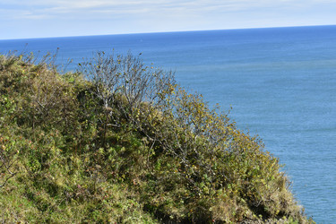Similar image 22648288