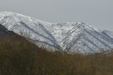 Similar image 22648077