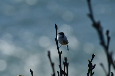 Similar image 22648093