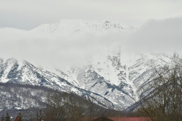 Similar image 22648319