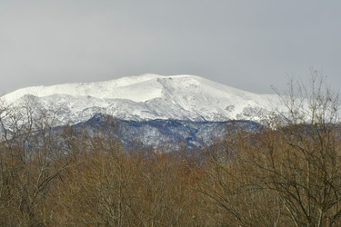 Similar image 22648200