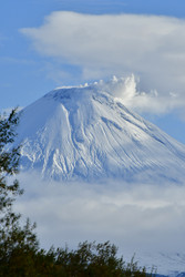 Similar image 22648275