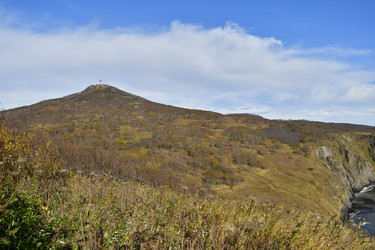 Similar image 22648320