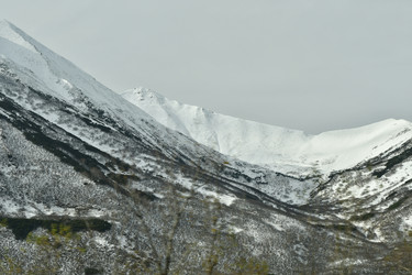 Similar image 22648422
