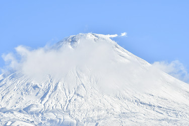 Similar image 22648542