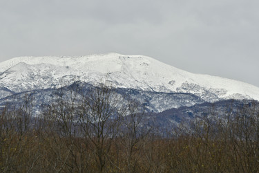 Similar image 22648048