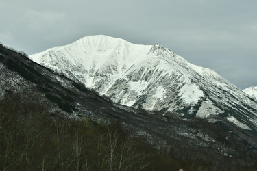 Similar image 22648322