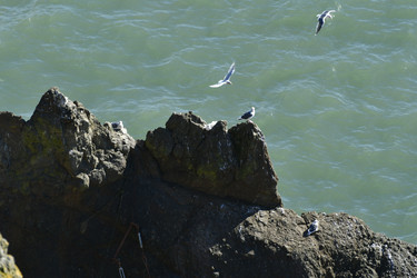 Similar image 22648396